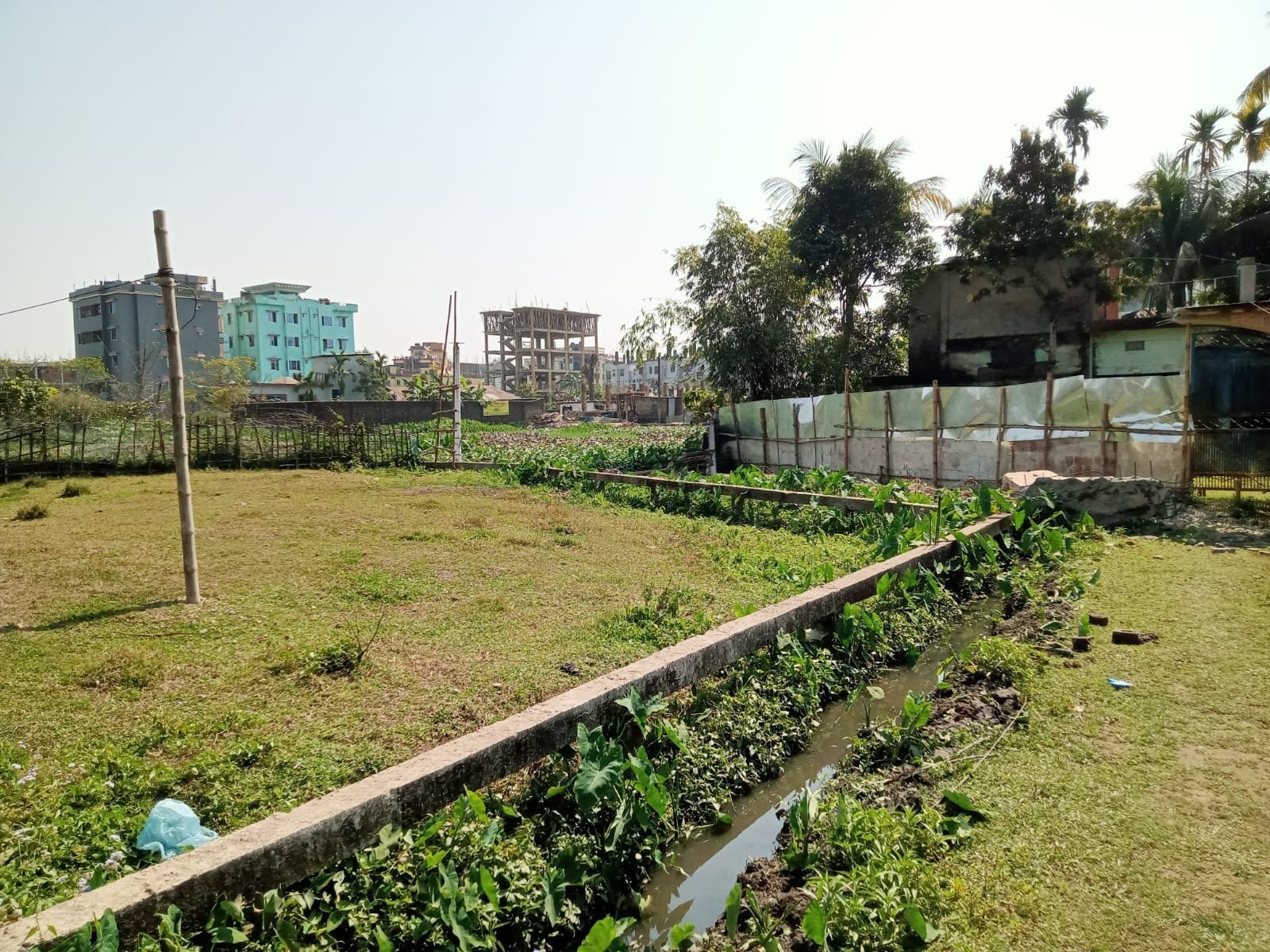 Riverside plots