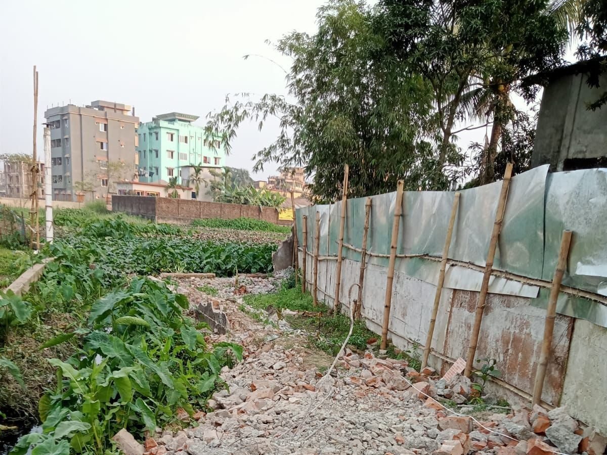 Plot layout & survey